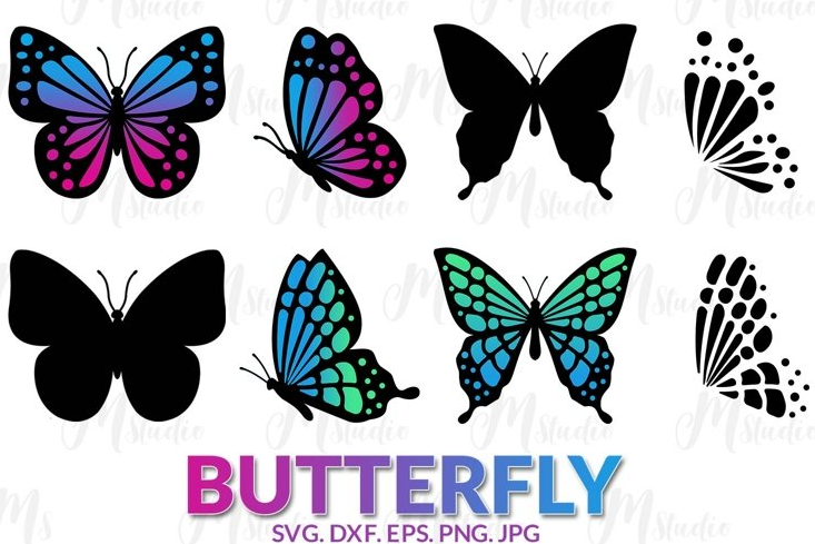 Butterfly-Images